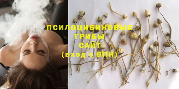эйфоретик Аркадак