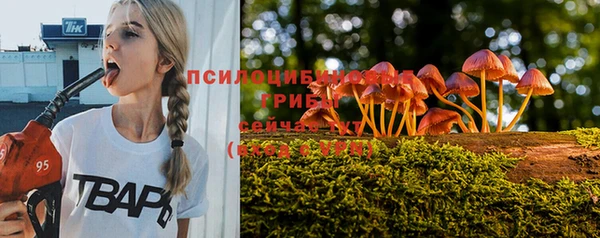 эйфоретик Аркадак