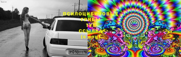 круглые Арсеньев